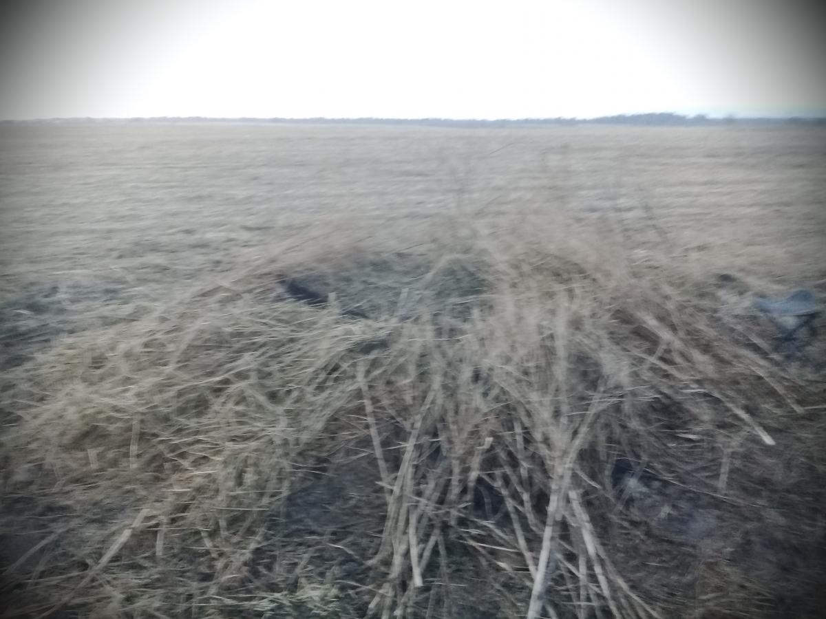 20170427_204854.jpg
