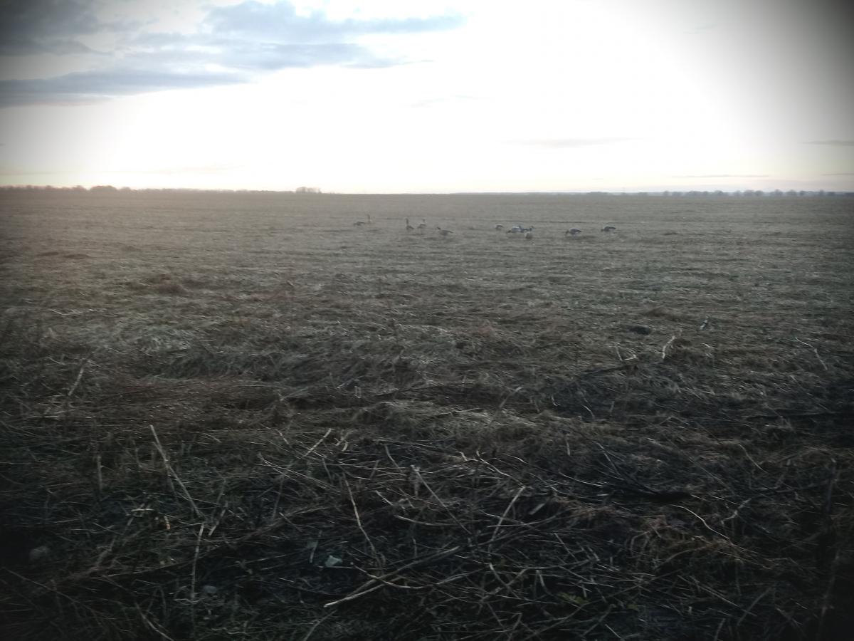 20170427_204900.jpg