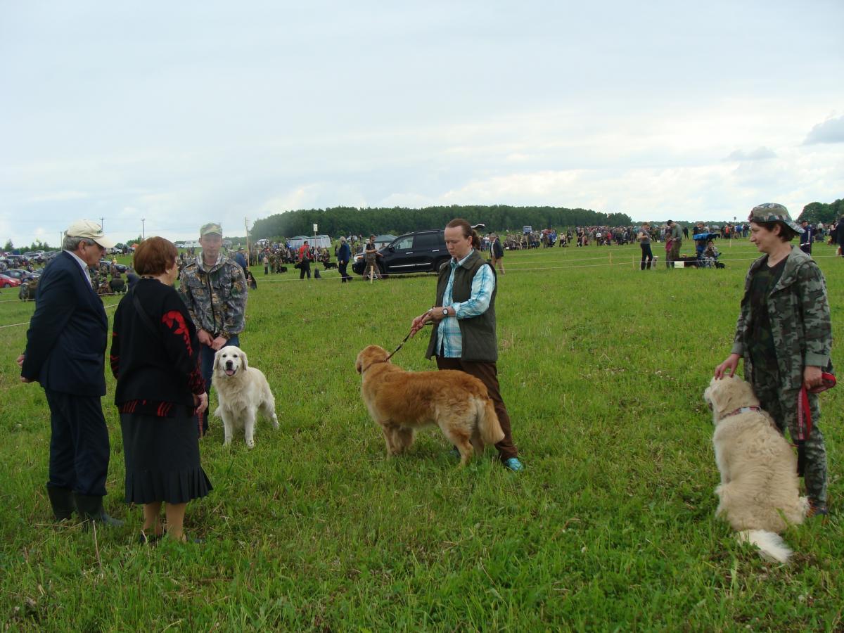 DSC00385.jpg
