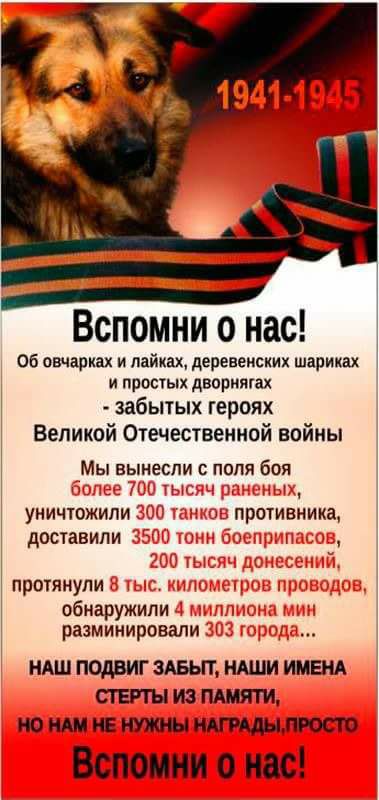 Вспомни о нас.jpg