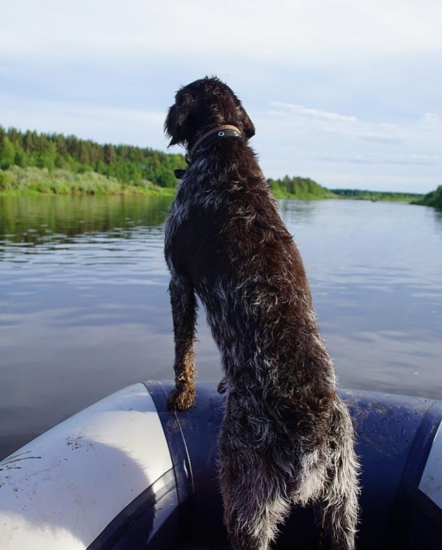 boat_4.jpg