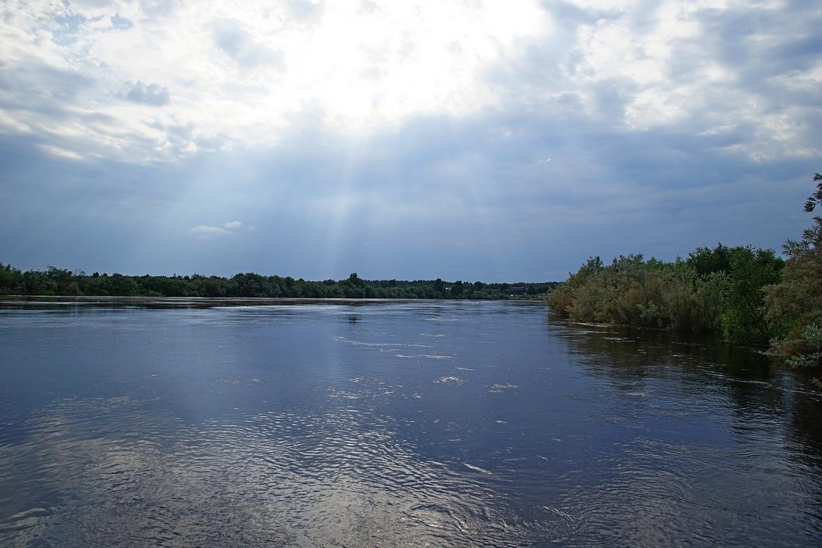 DSC00782.jpg