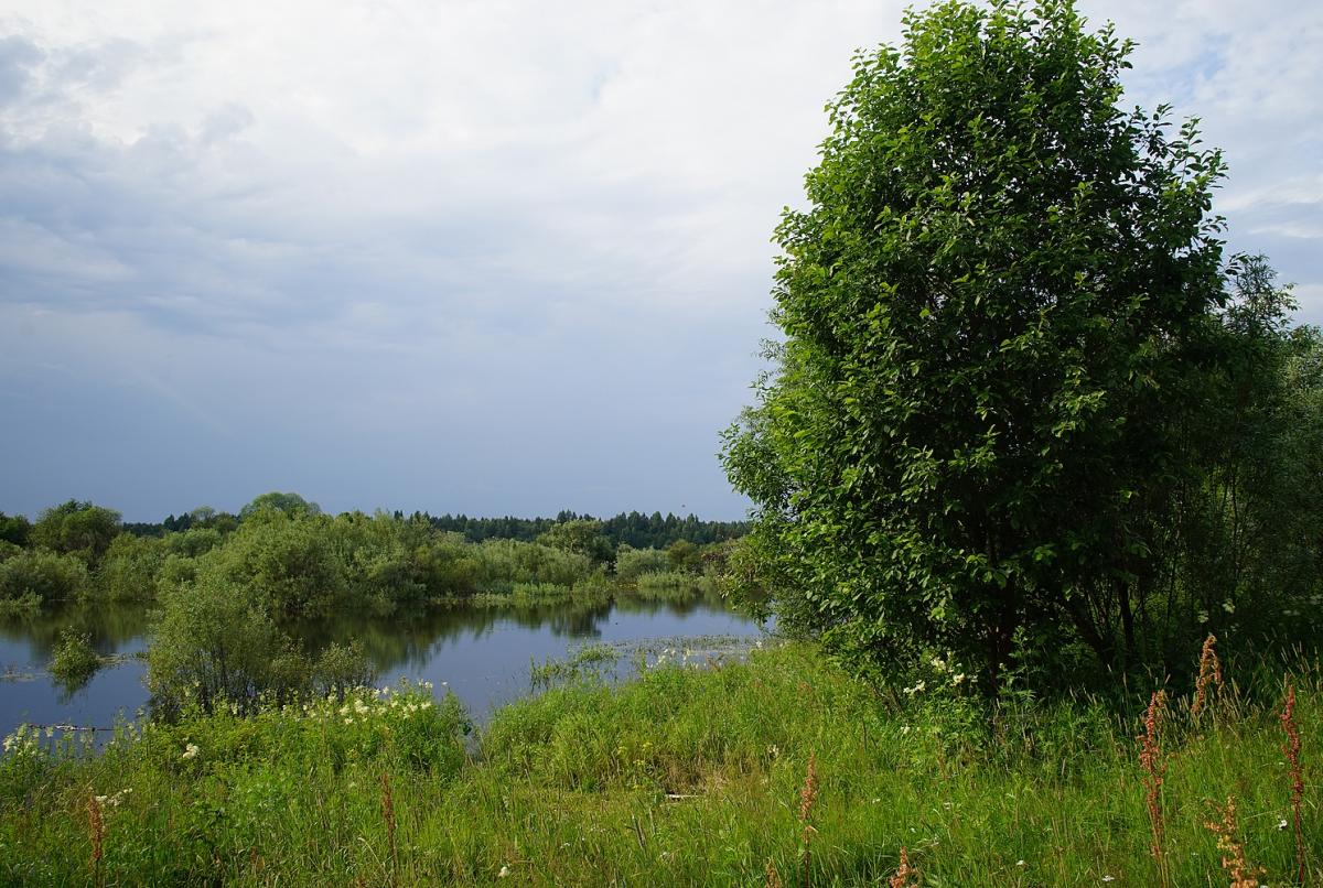 DSC00800.jpg