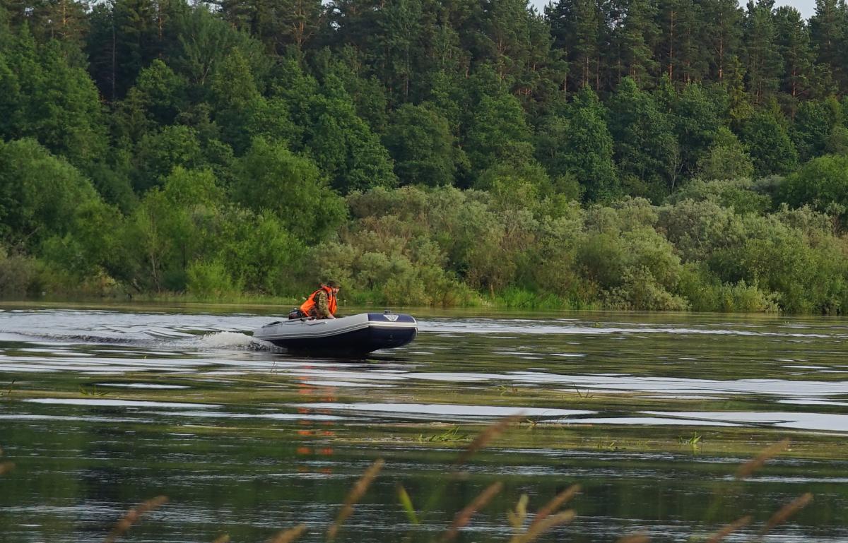 DSC00816.jpg