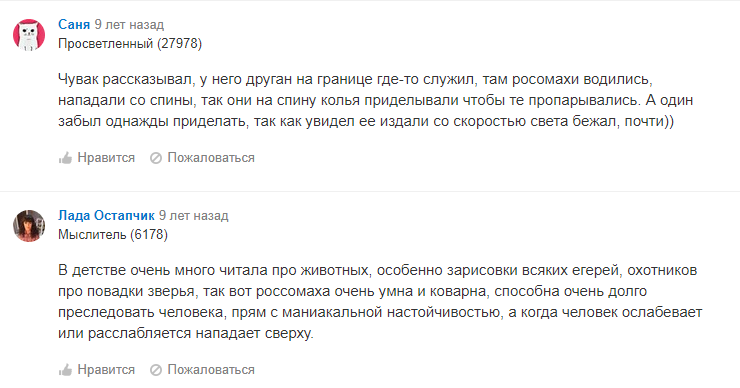 Про росомаху.png