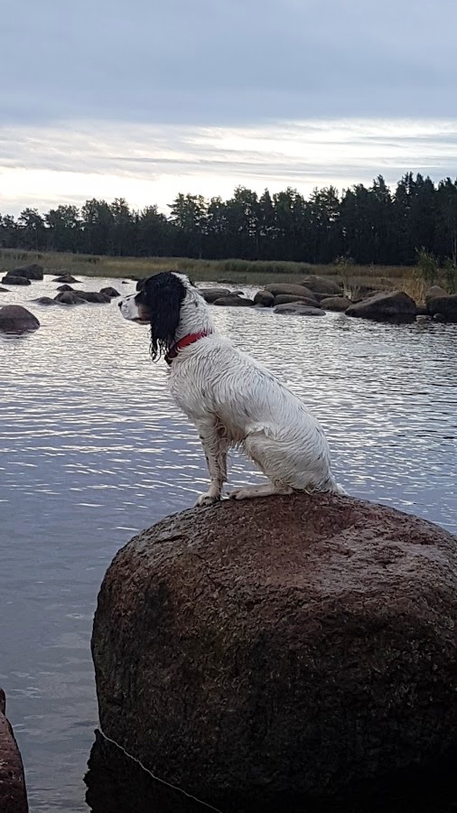 2017_074238.jpg