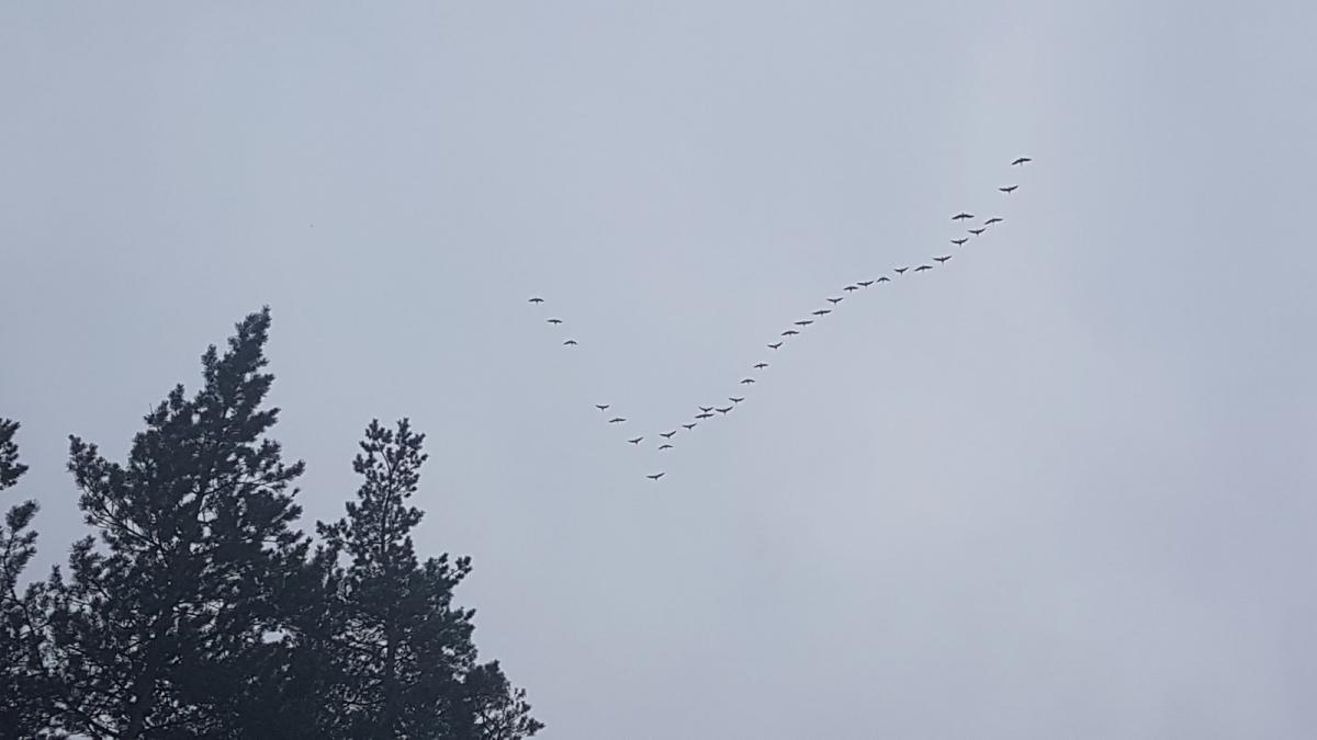 2017_145103.jpg