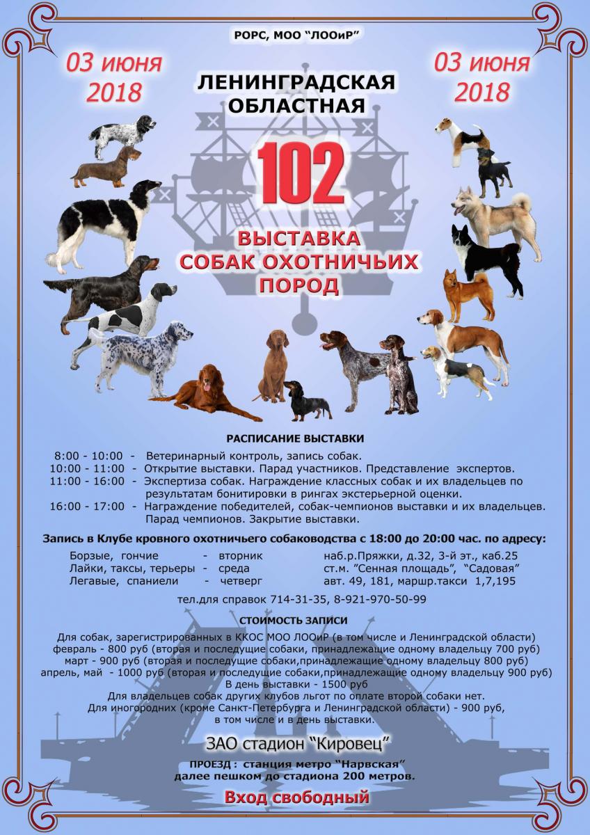 выставка.jpg