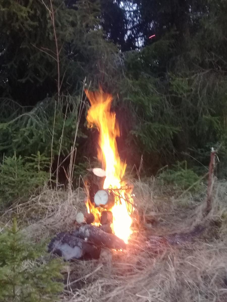 20180412_200621.jpg