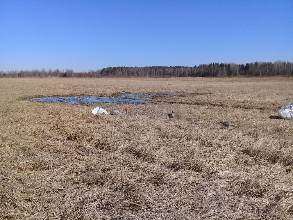 20180413_121640.jpg