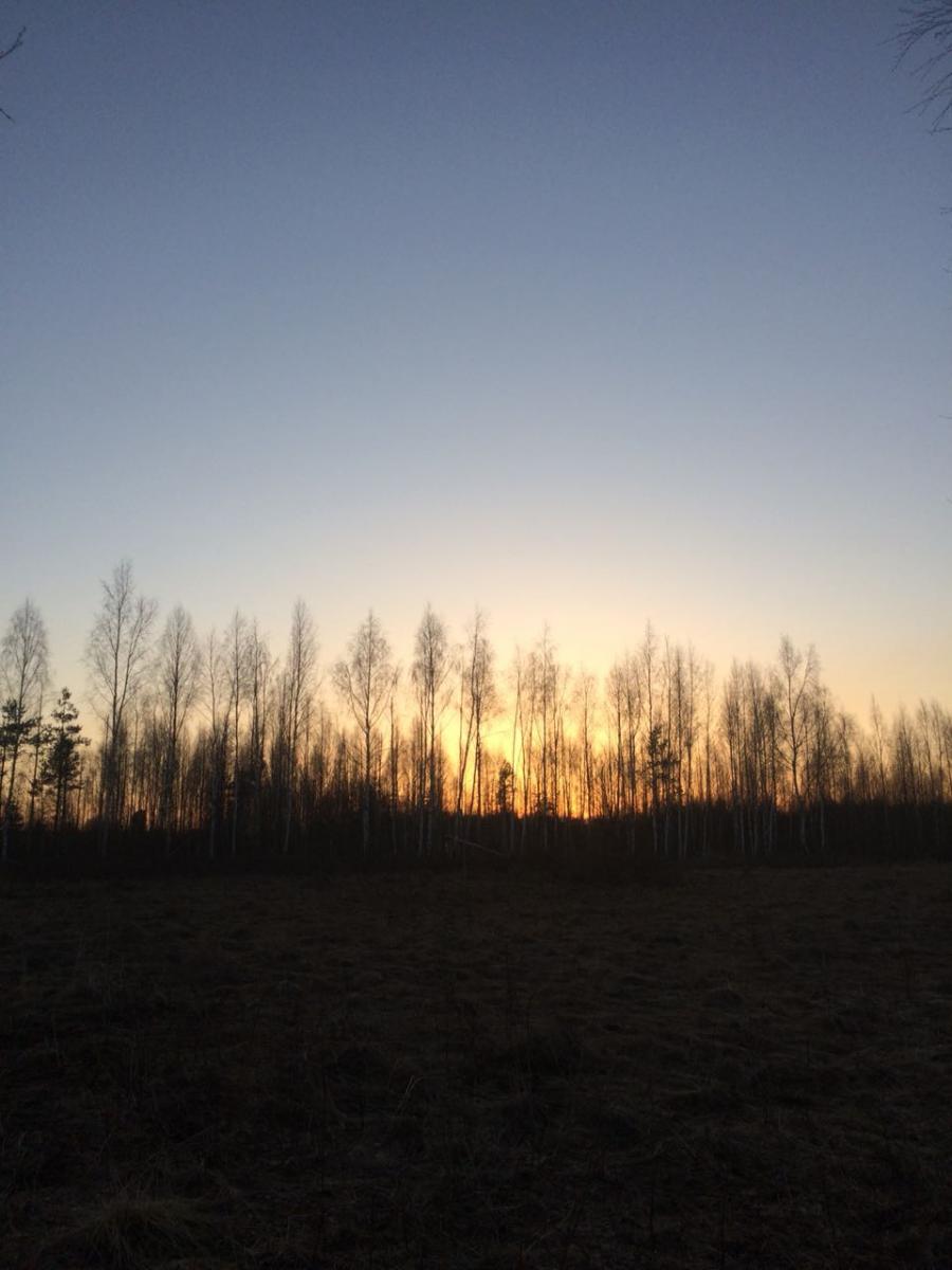 IMG-20180417-WA0024.jpg