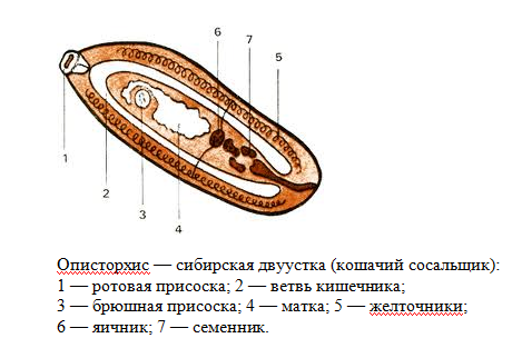059860001401106286.png