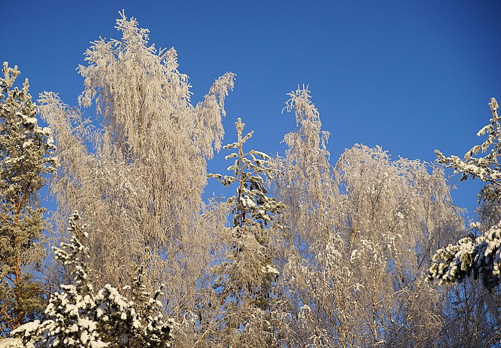 DSC02202.jpg