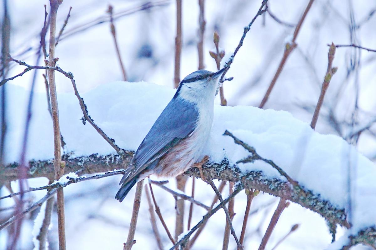 DSC_3553.jpg