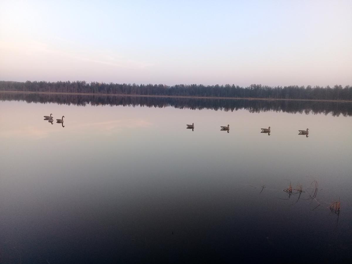 20181014_174240.jpg
