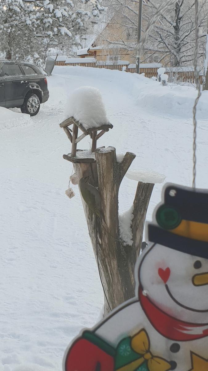 20190128_114835[1436].jpg