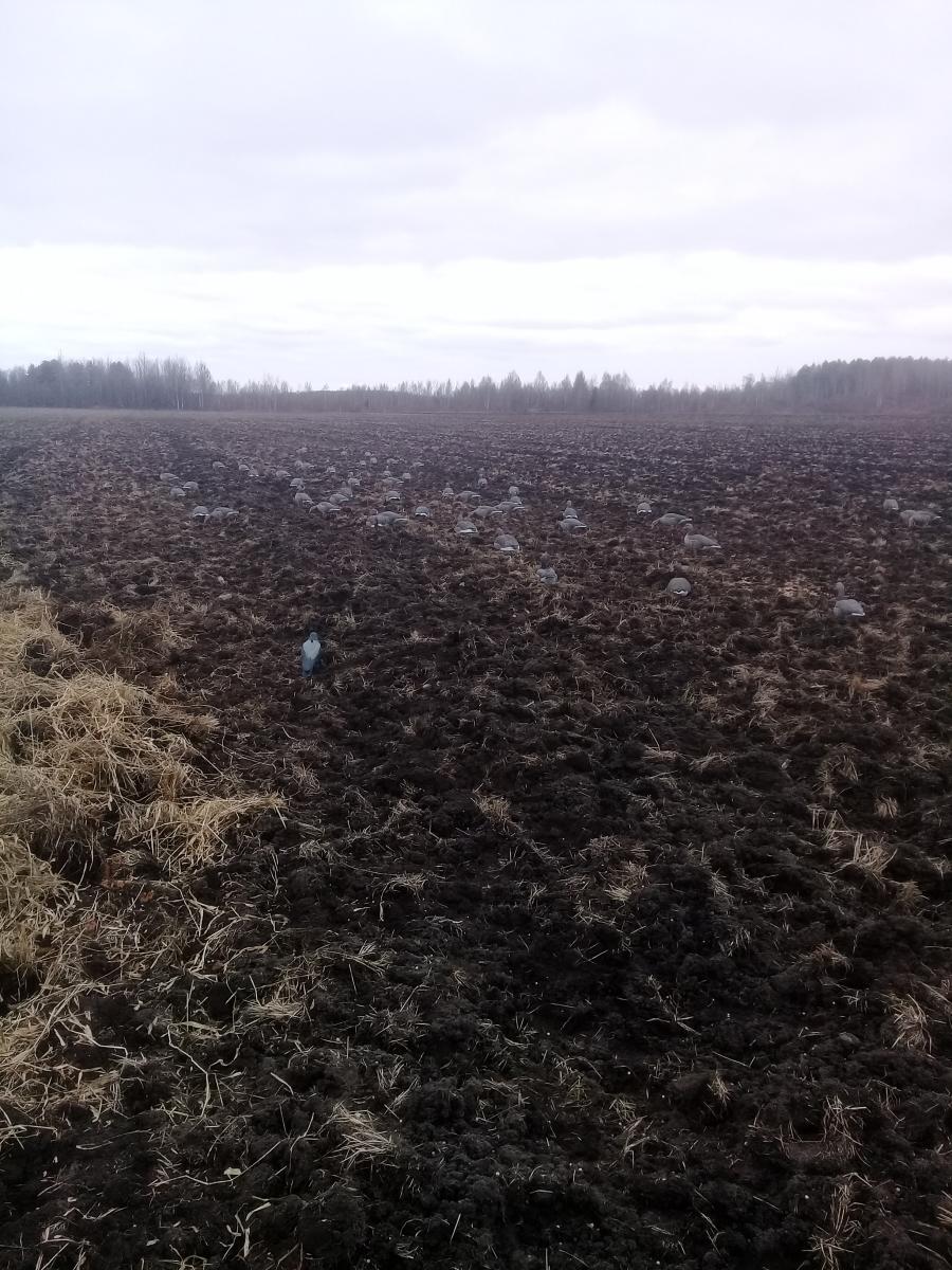 20190412_142918.jpg