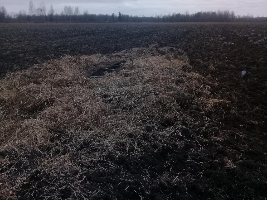 20190412_142922.jpg