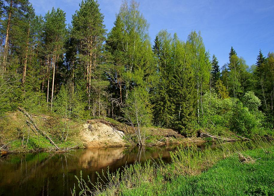 Кать_4.jpg