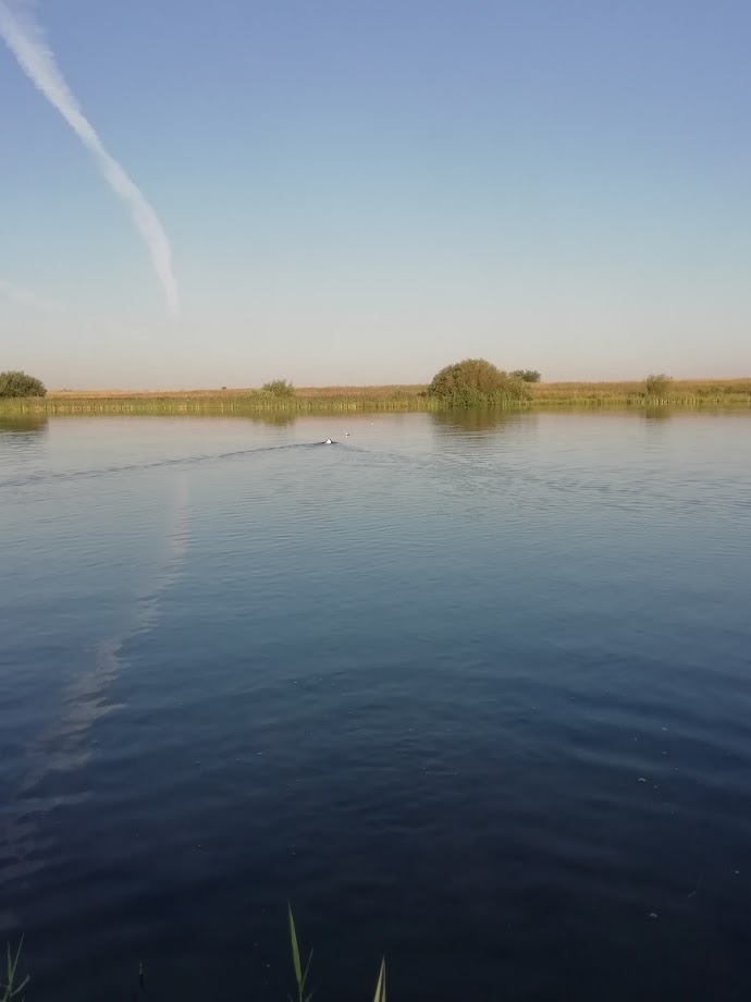 IMG_20190727_064452.jpg