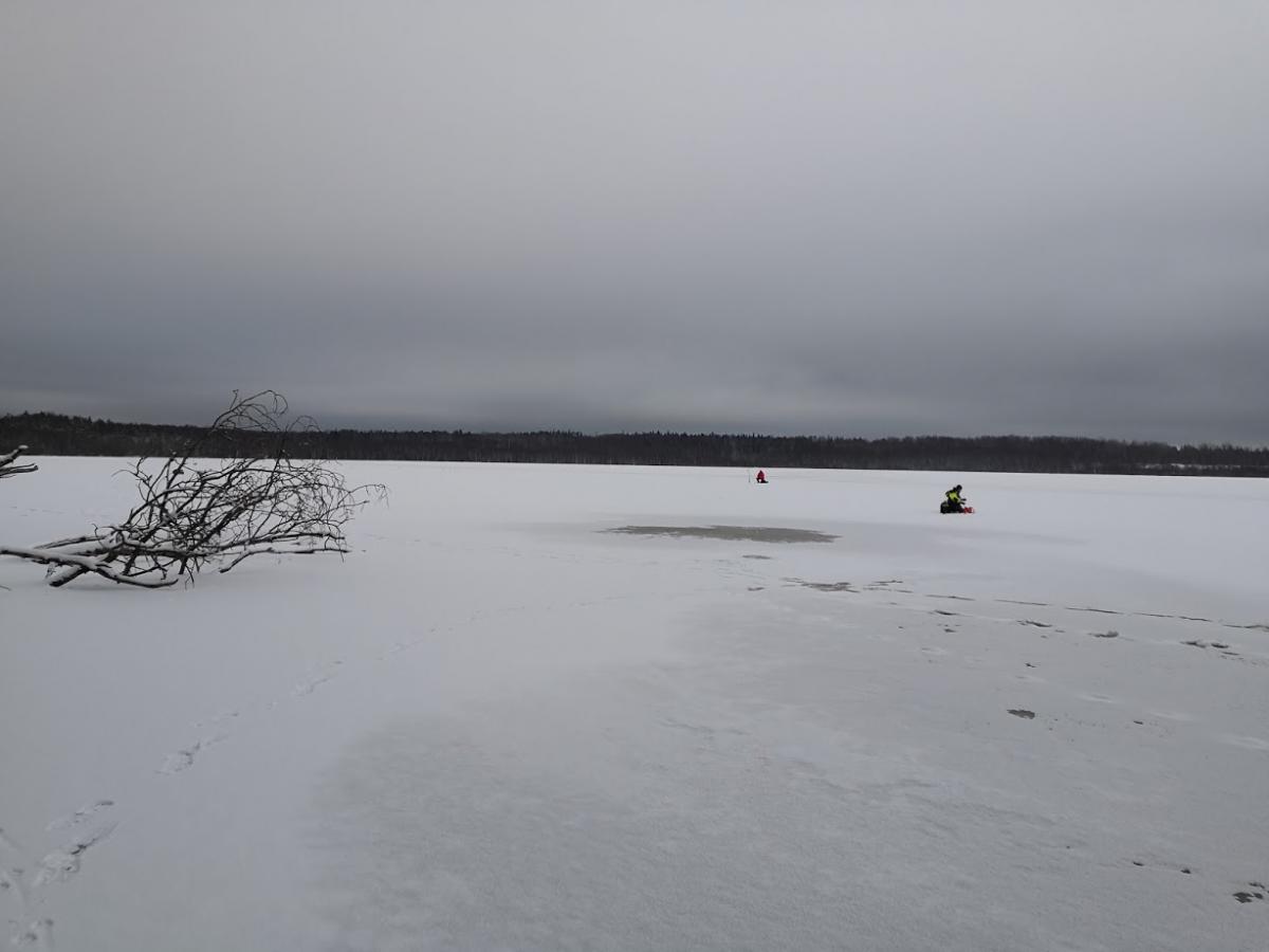 IMG_20200208_094014.jpg