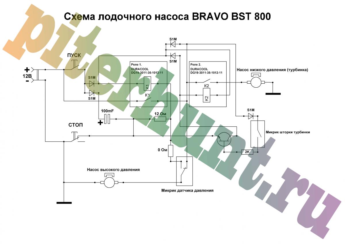 bravo_BST_800.jpg