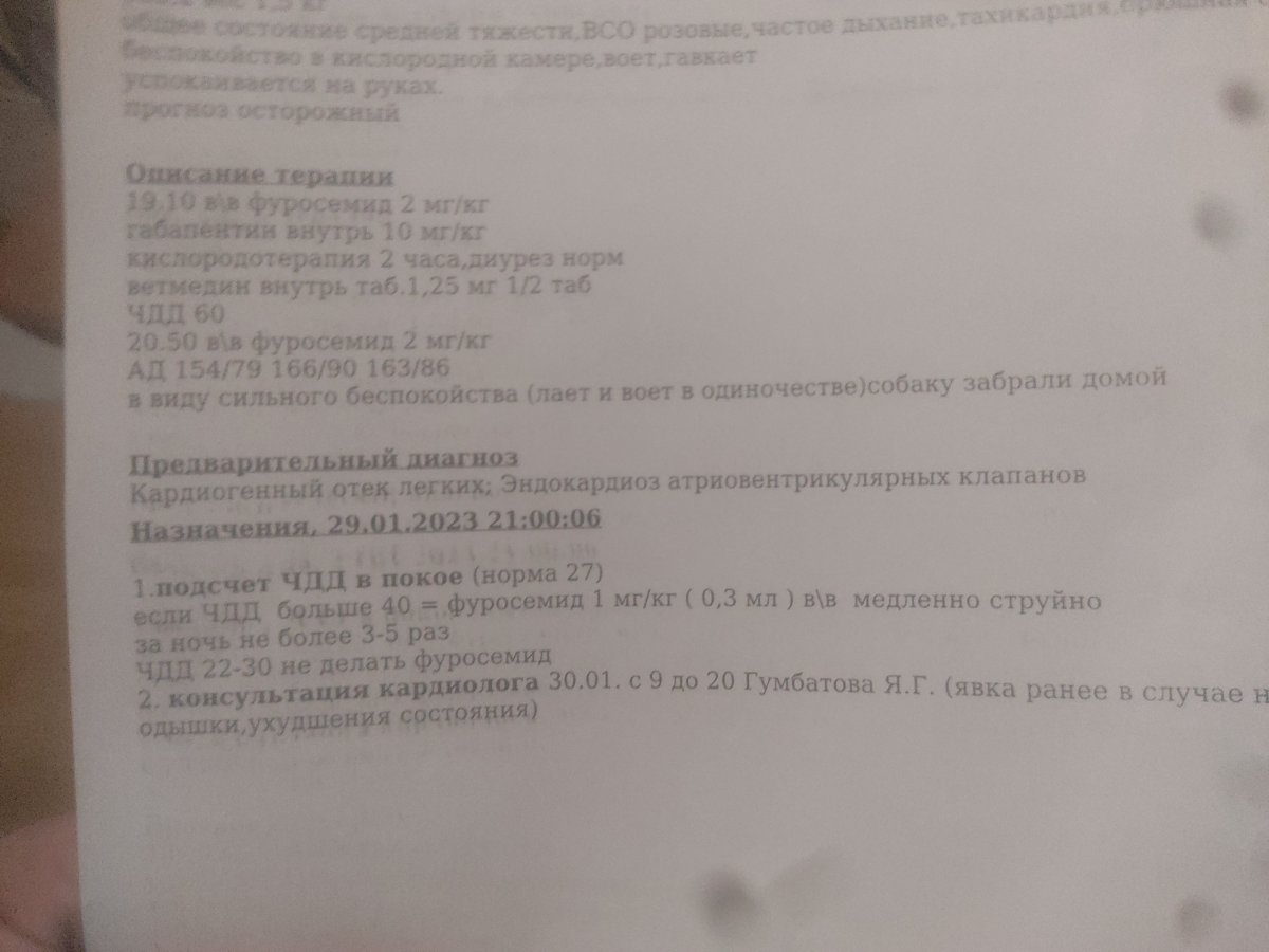 IMG_20230130_220250.jpg