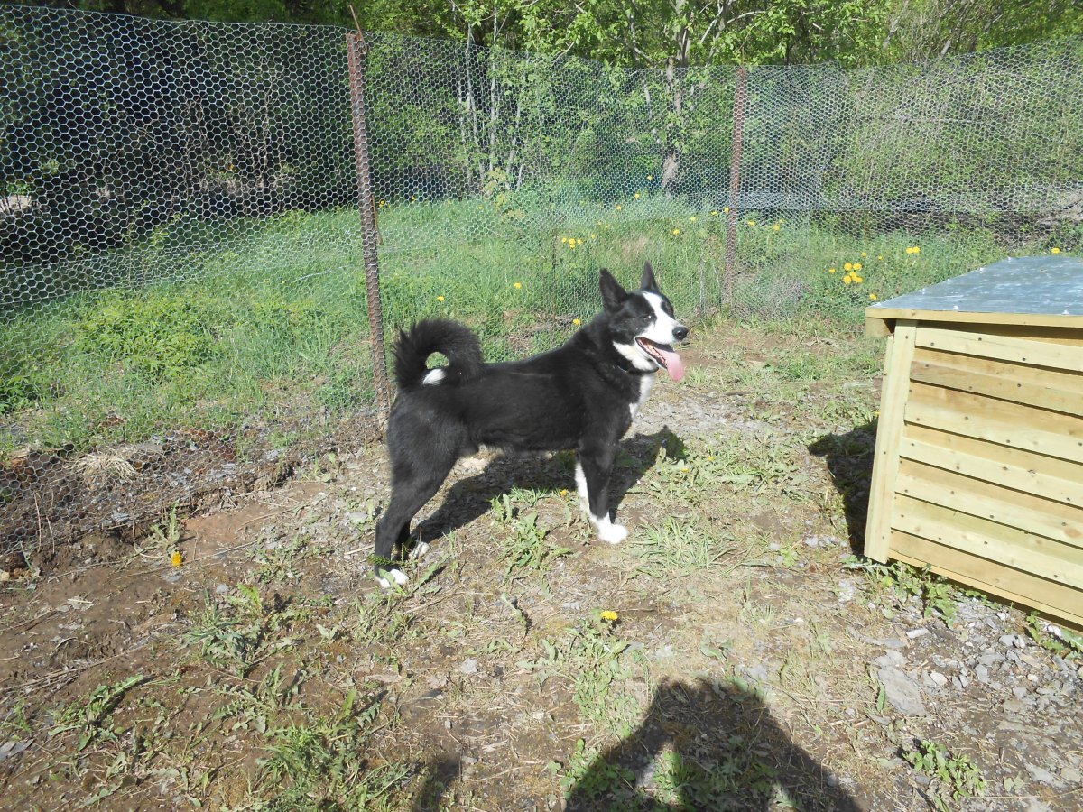 DSCN2057.JPG