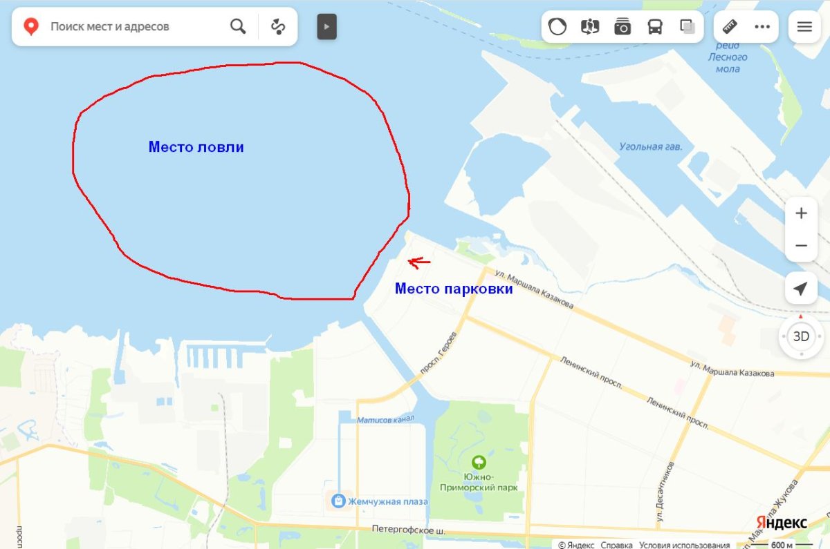 казакова.jpg