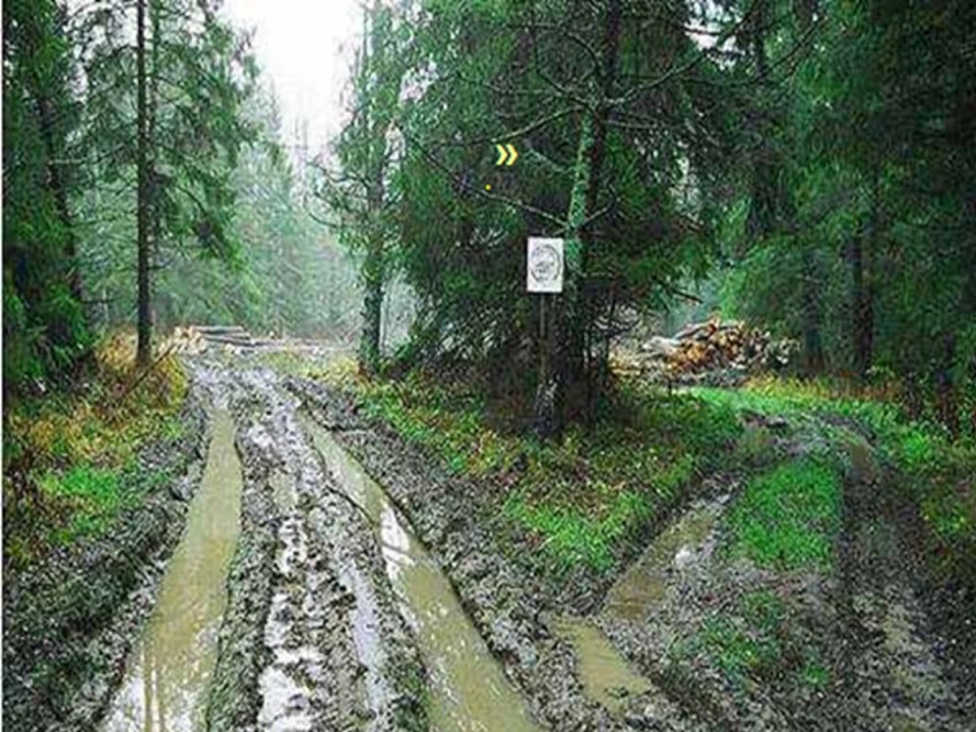 дороги.jpg