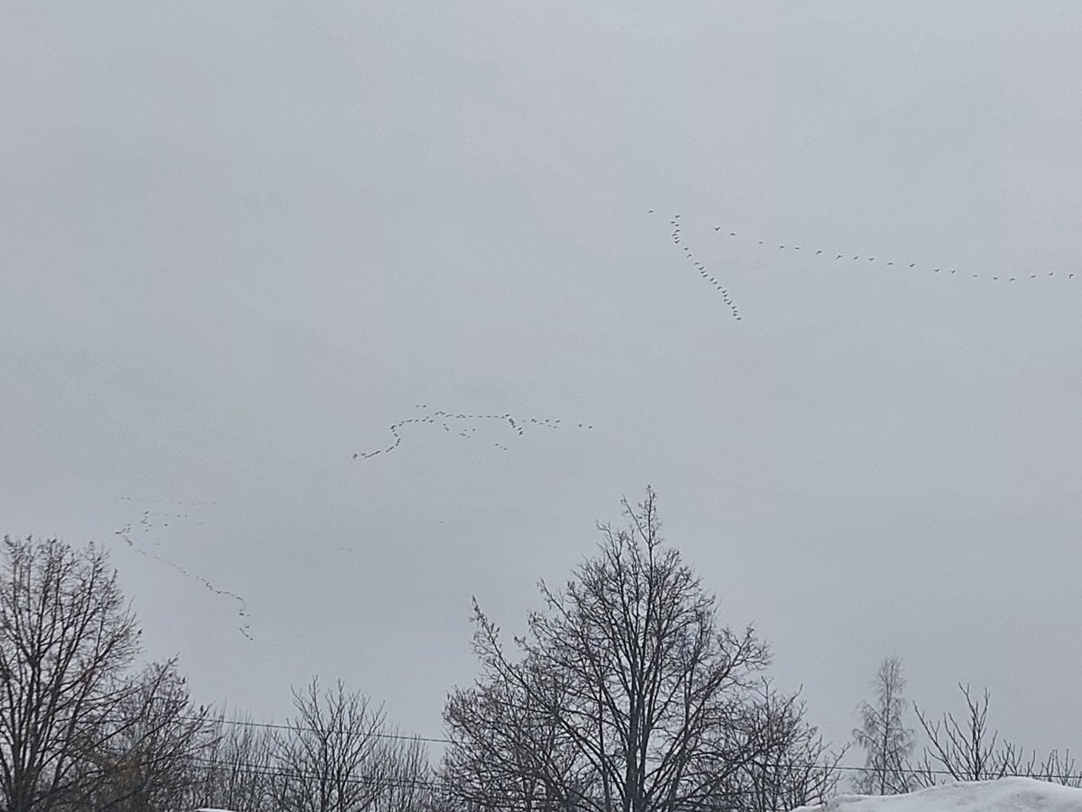 20230331_170101.jpg