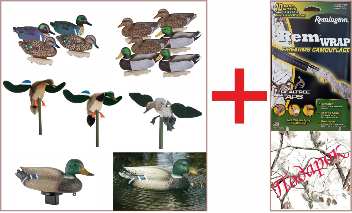 Ducks_Promo_Bonus.jpg