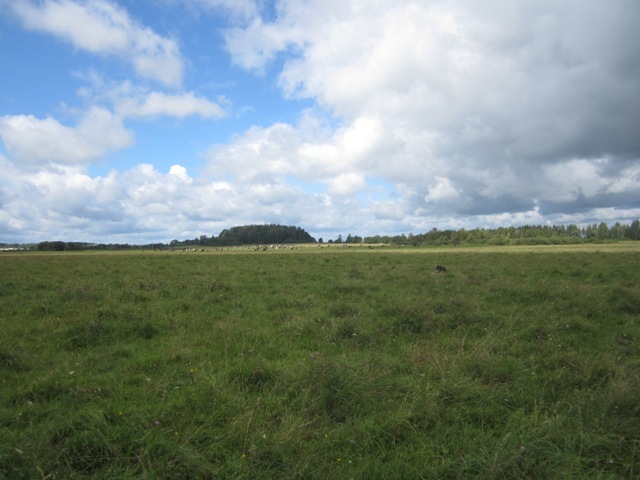 h-6245.jpg