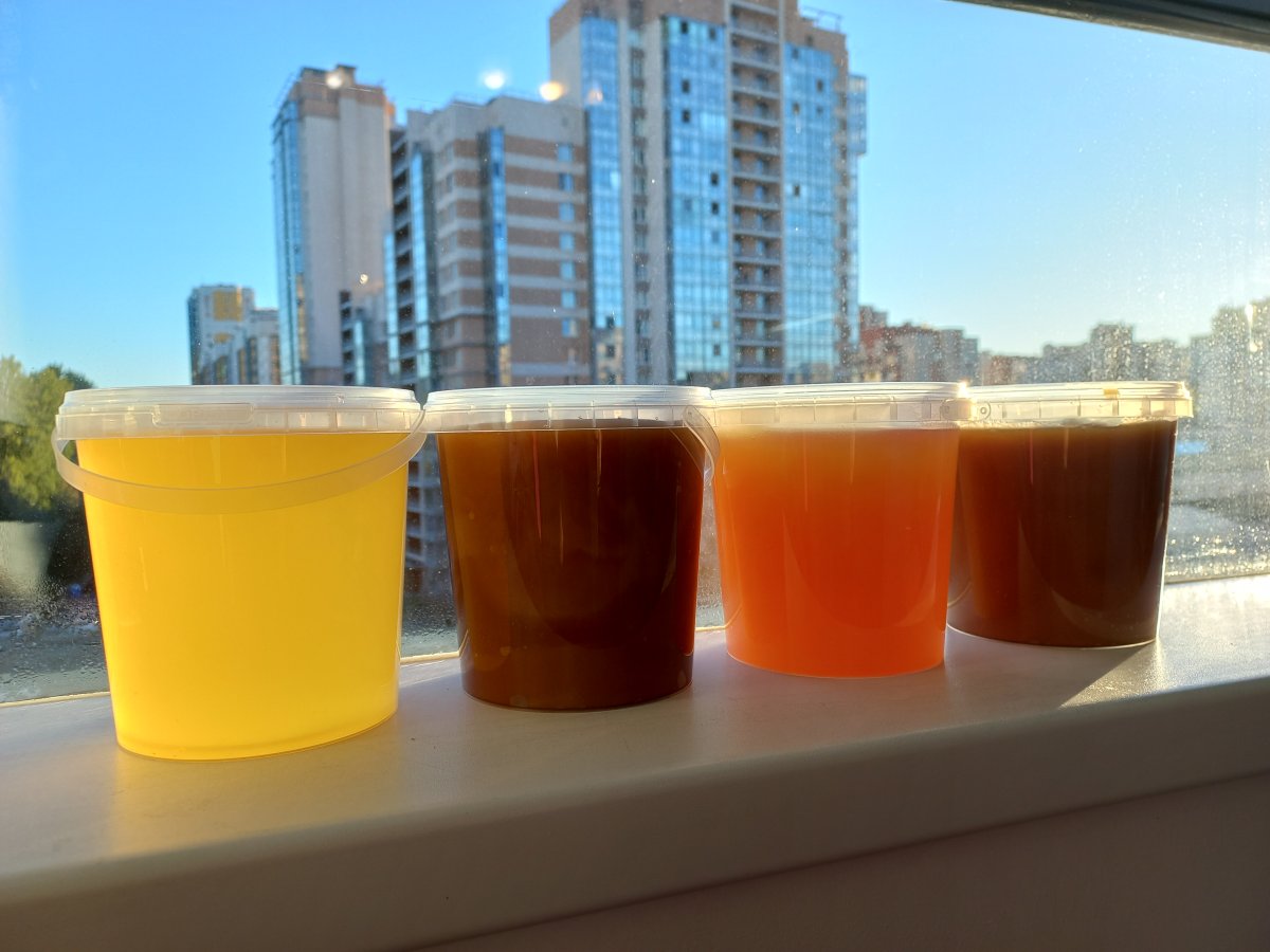 20230918_073222.jpg