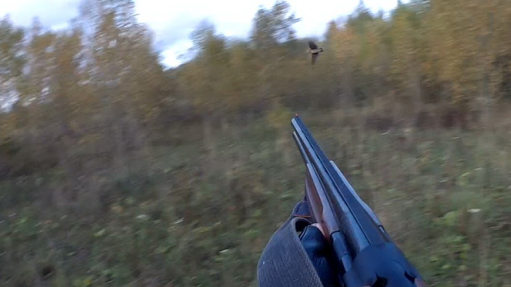 Вальдшнеп 2.jpg