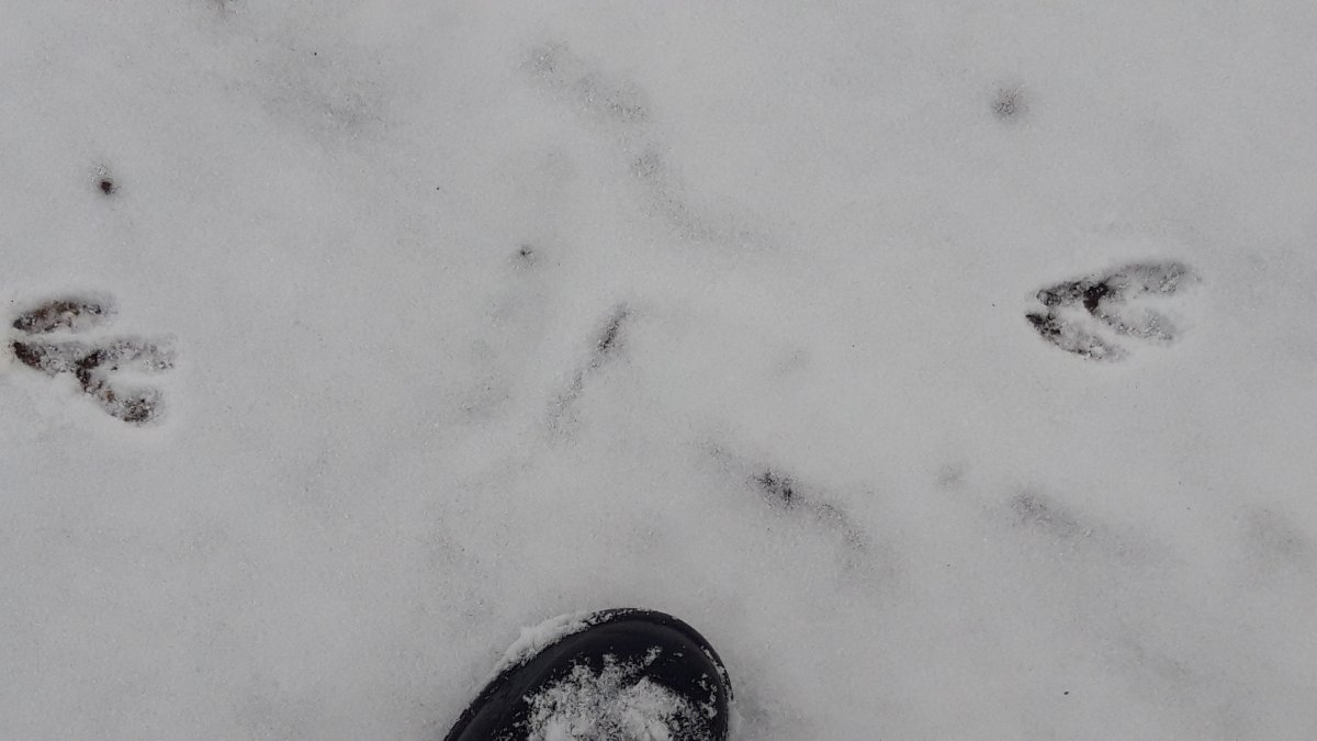 20231029_133813.jpg