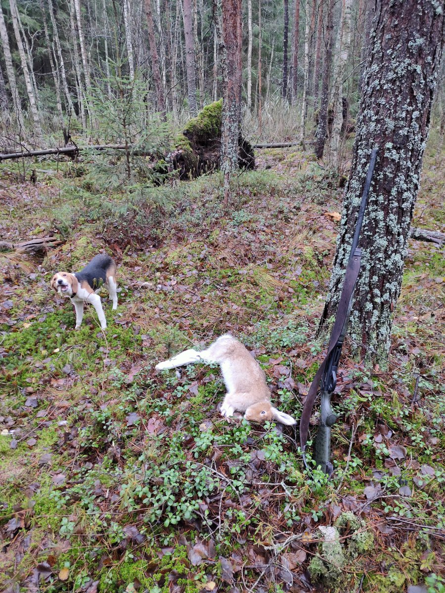 IMG20231111120108.jpg