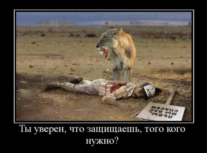 1700062321104.jpeg