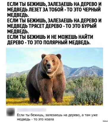 410ee710-31b1-443e-ad25-23415c5caed6.jpg