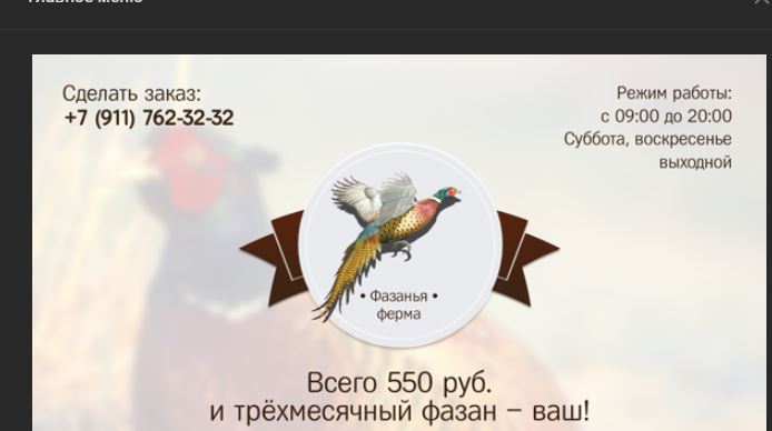 Снимок.JPG