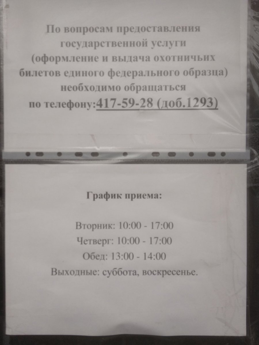 ohotbilet.jpg