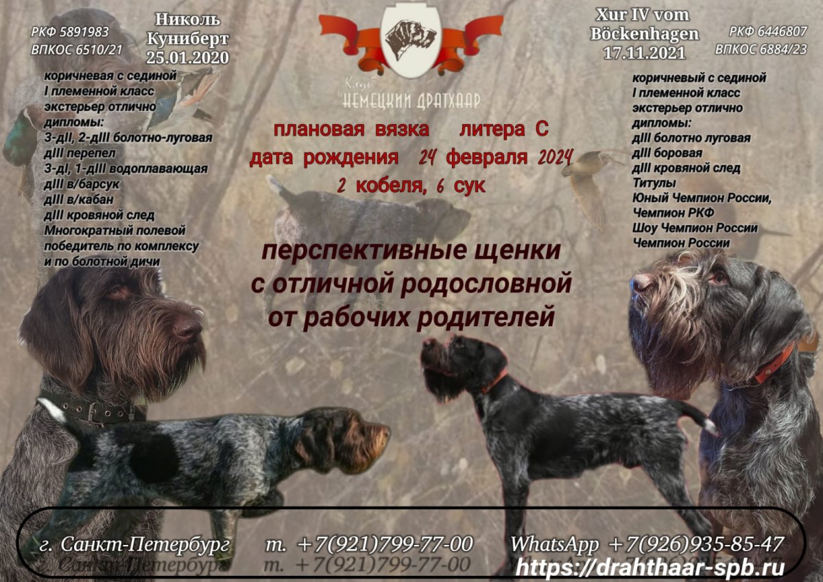 IMG-20240227-WA0002.jpg