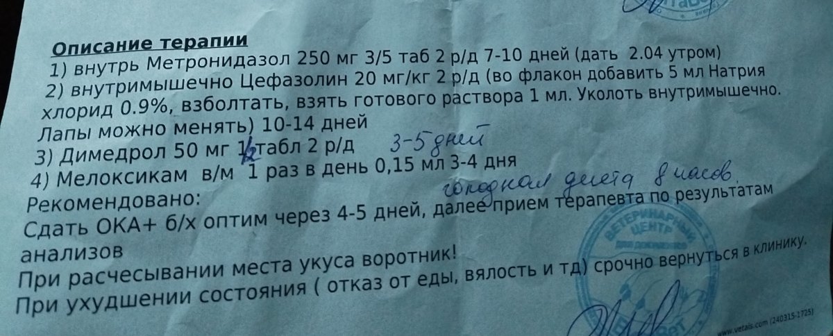 IMG_20240404_200711.jpg