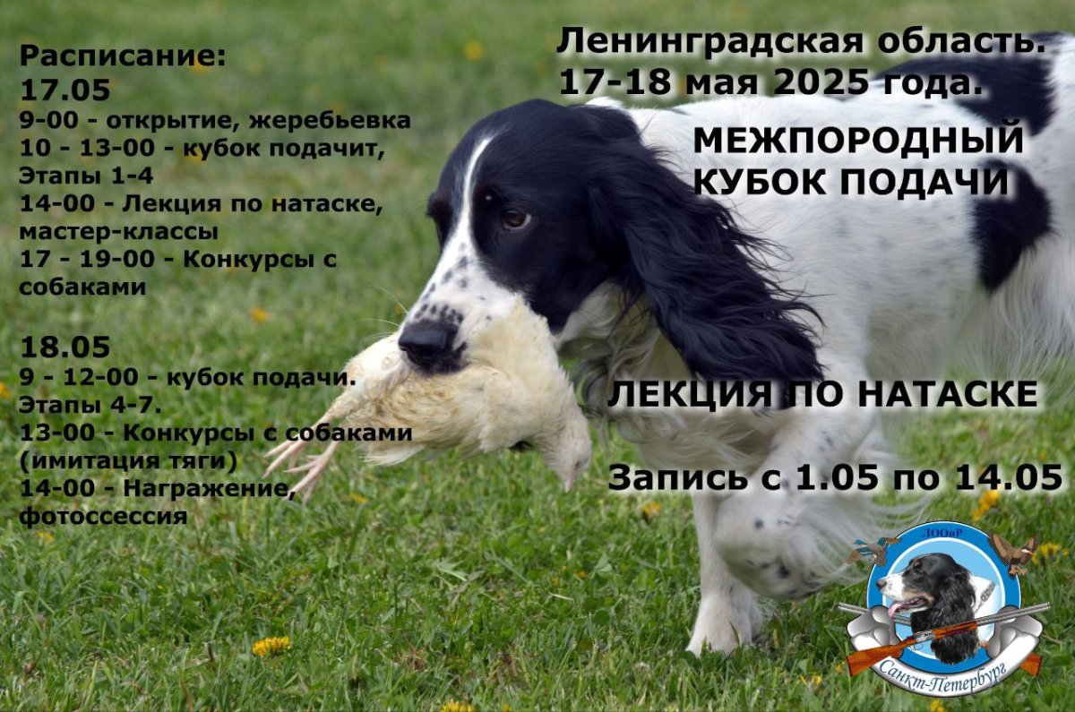 -5244709841207947305_121.jpg