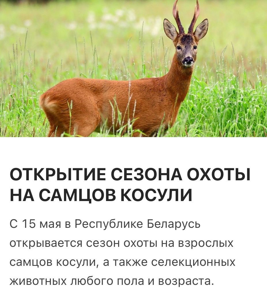 Аншлаг.jpeg