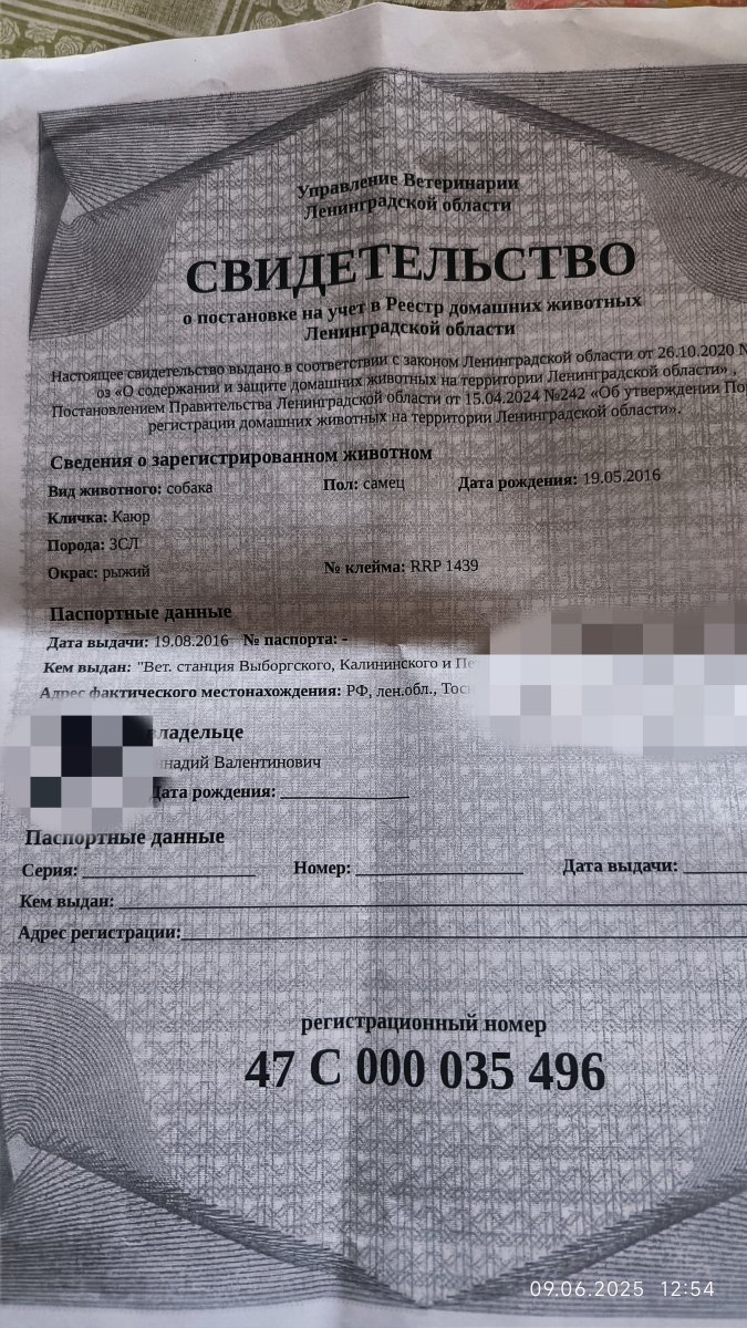 1000104176.jpg