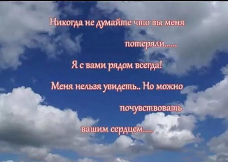собака умерла.jpg