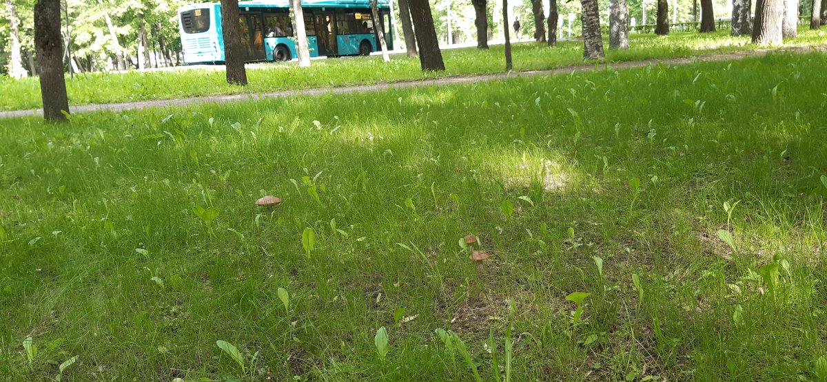 20240616_105206.jpg