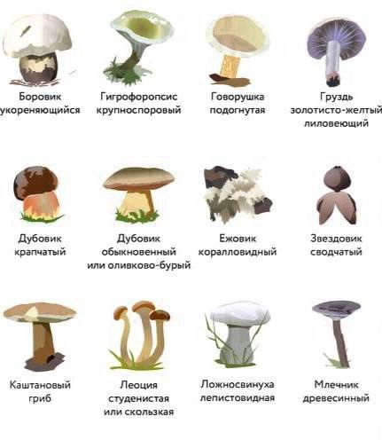 lTM48cFiM4PI99Zu1aGdXOKYVHIrOSU6Gubrv6ddkP4PIgPE8R7Yo634F_0wX96Mr8DYj34vNGcInt3SqRvBV-bX.jpg