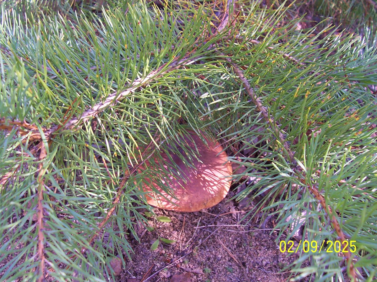 100_5538.JPG